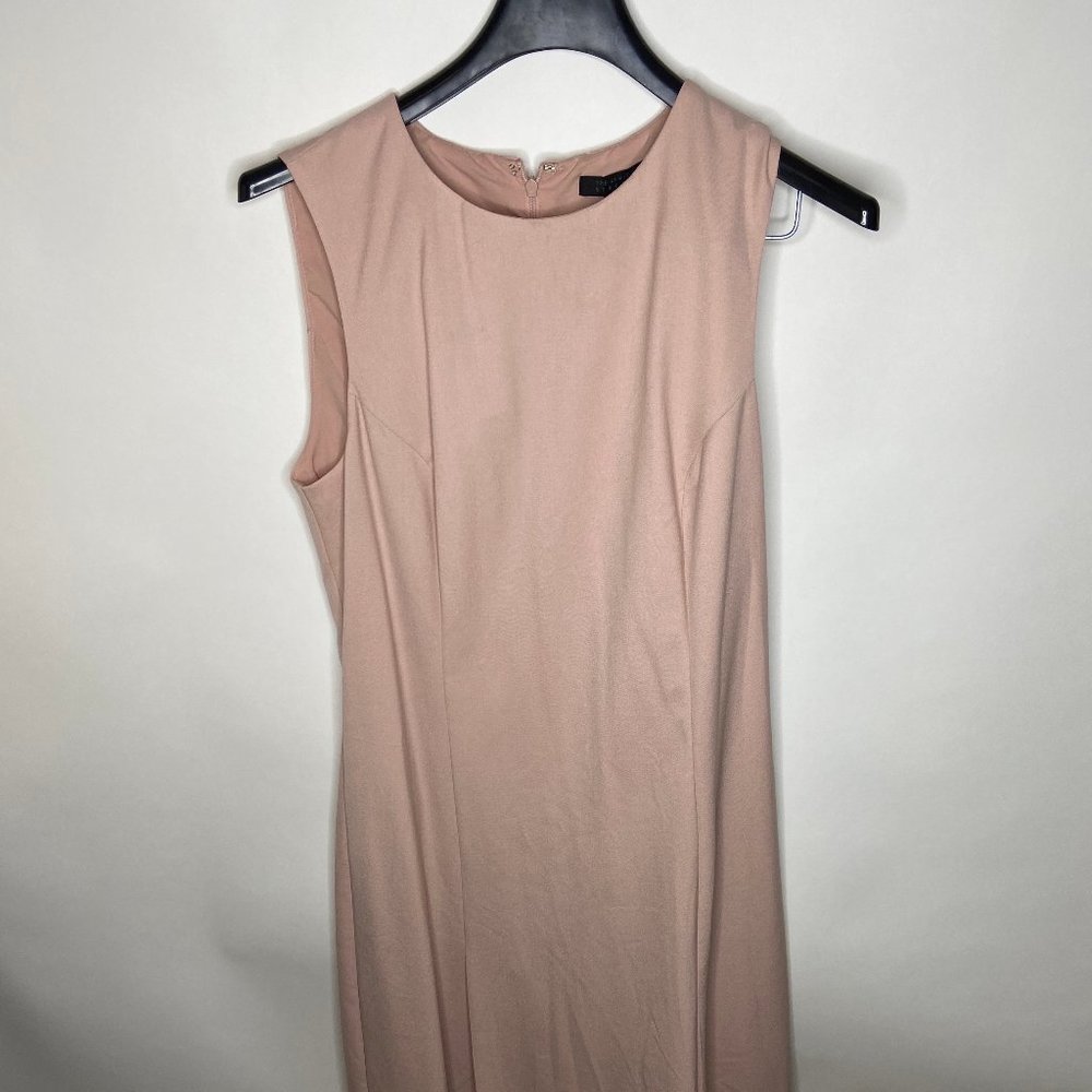 The Limited Dress